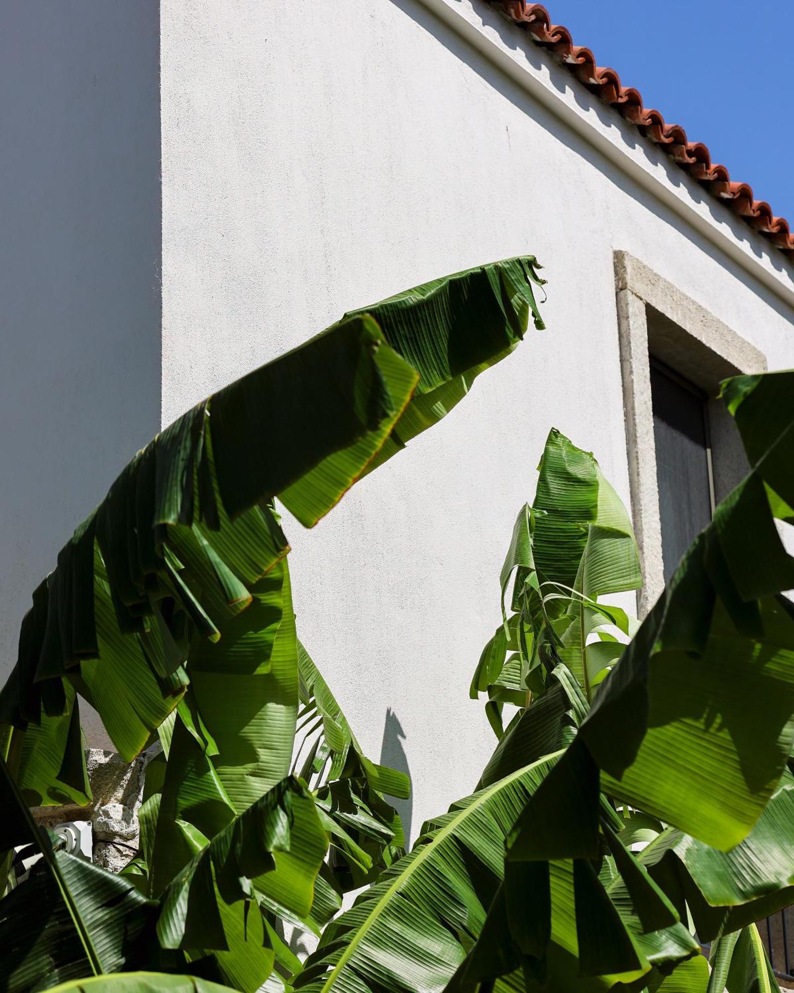 Voger Alacati Koeyici Exterior foto